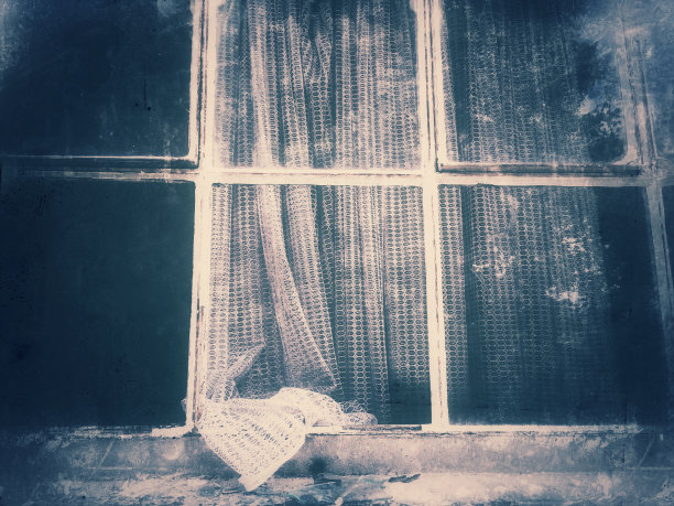 老式的窗户图片下载