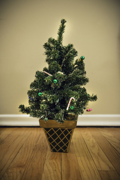 迷你圣诞树图片下载