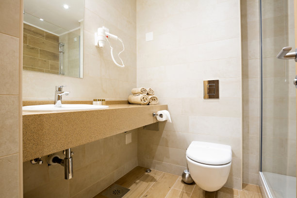 现代浴室的内部图片下载