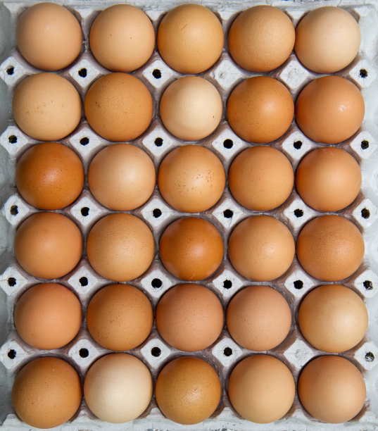 鸡蛋在包里图片下载