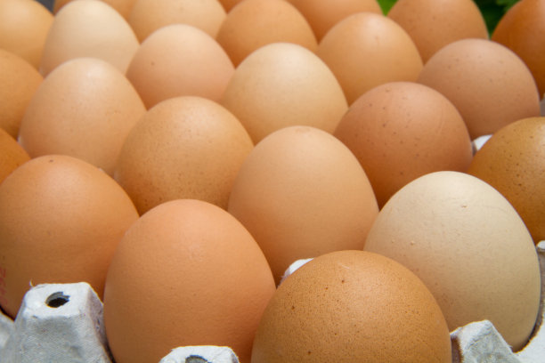 鸡蛋在包里图片下载