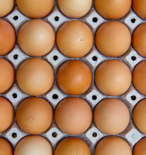 鸡蛋在包里图片下载