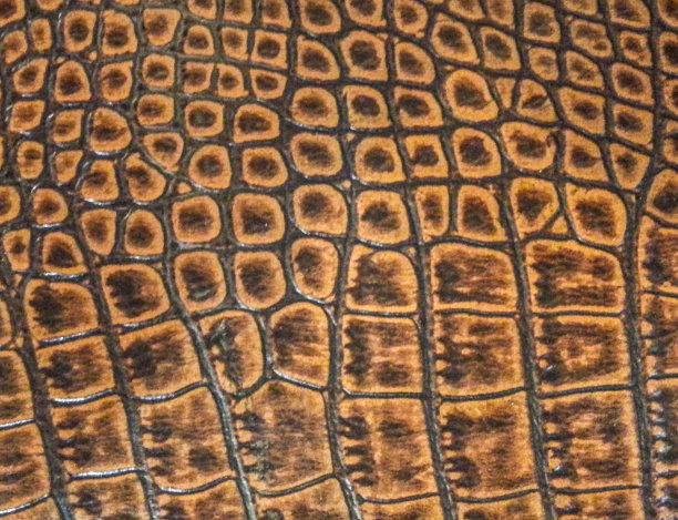 蛇皮革纹理图片下载