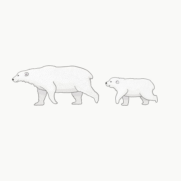 北极熊妈妈和她的幼崽在散步图片下载