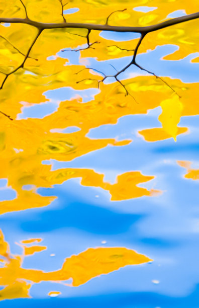 暗嫩枝画图片下载