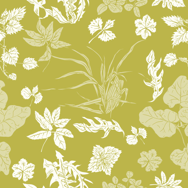 与各种常见草本植物和杂草无缝搭配图片下载