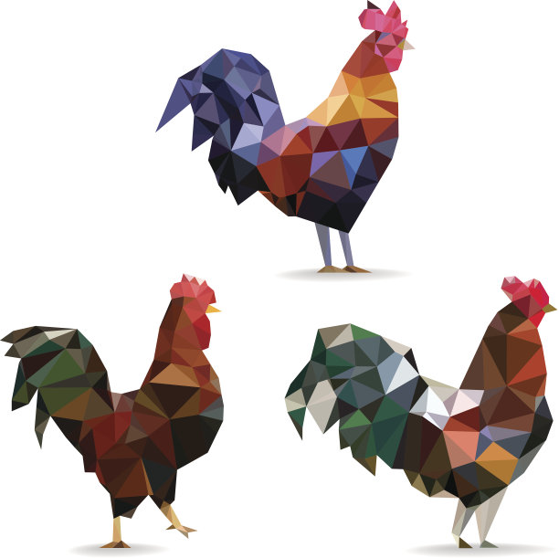 一套多边形公鸡图片下载