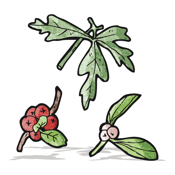 卡通冬天浆果图片下载