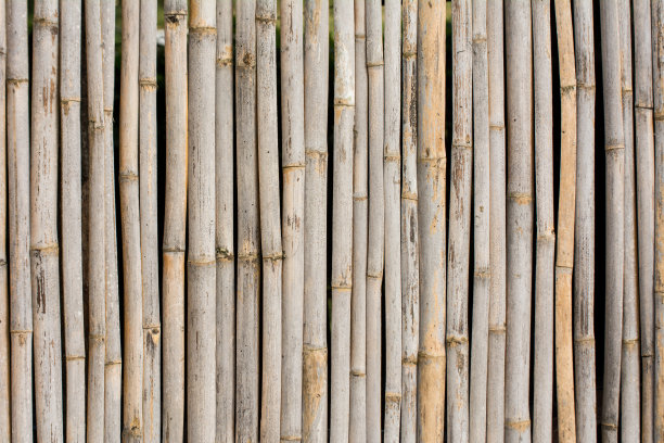 竹篱笆图片下载