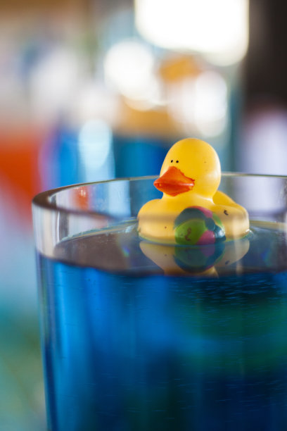 呼勒鸭图片下载