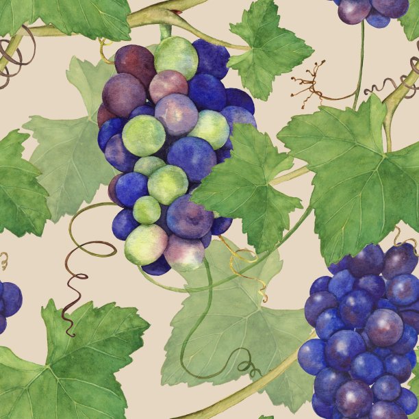 葡萄串7。无缝模式。图片下载