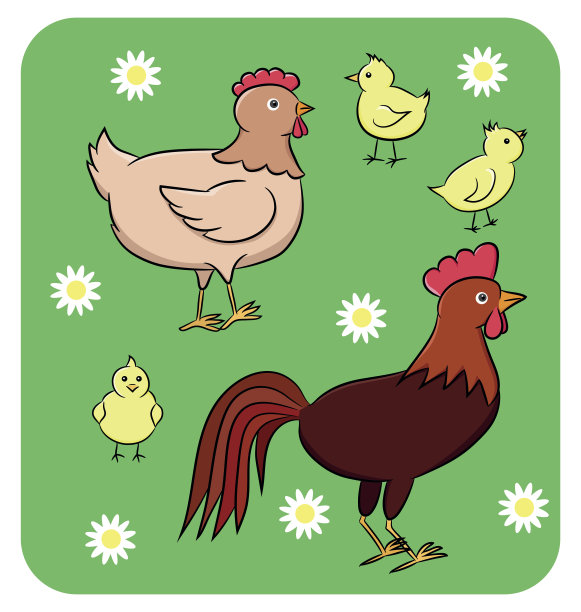 有趣的鸡家族图片下载