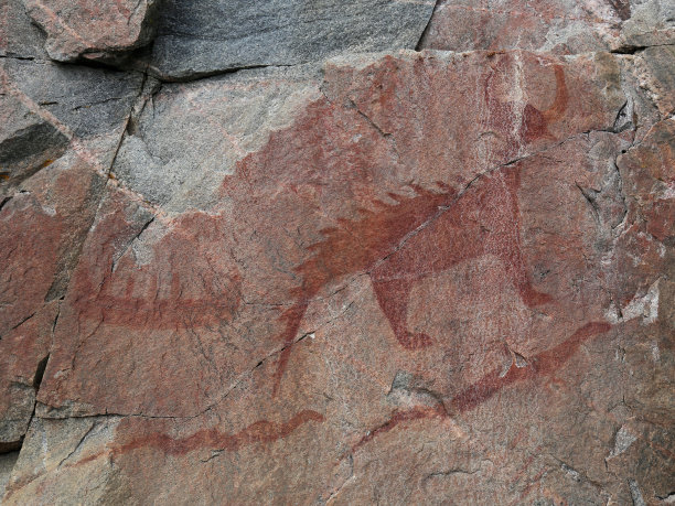 阿加瓦岩大山猫图片下载