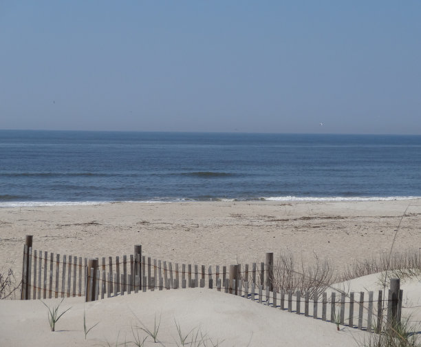 海边沙丘图片下载