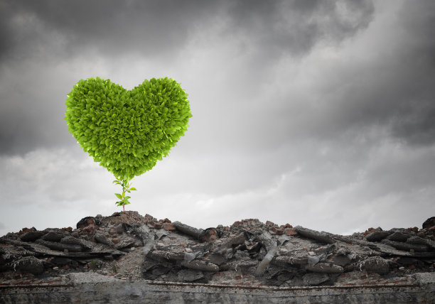 生态系统概念图片下载