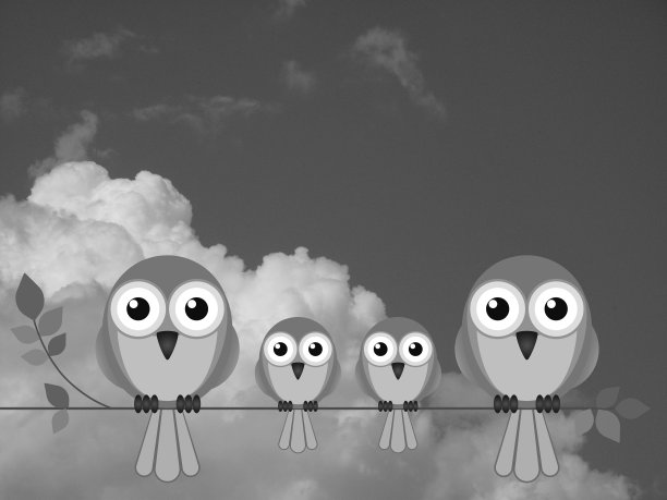 家庭的鸟类图片下载