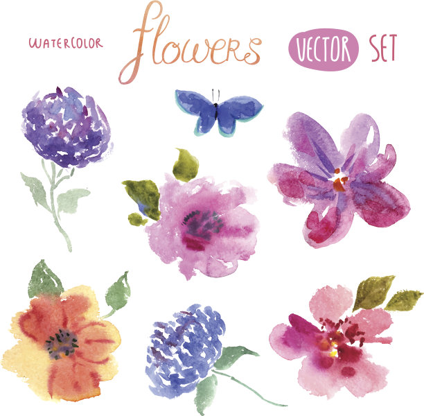 花卉水彩向量集素材图片