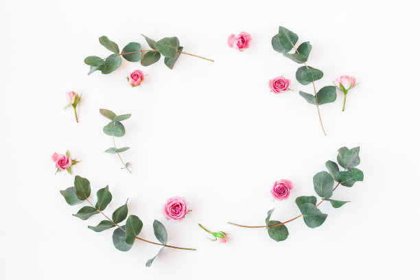 玫瑰花照片素材ID：140583046