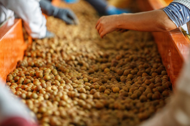 带式输送机图片下载