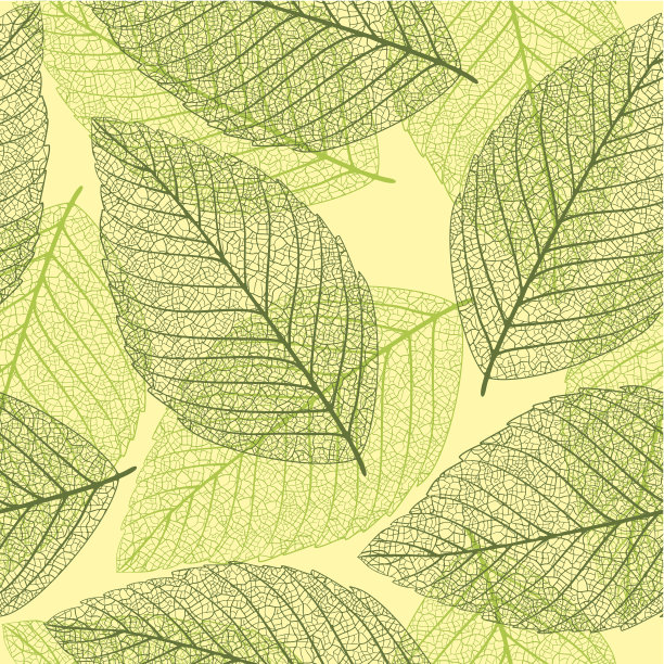 骨架的叶子。无缝的背景图片下载
