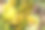 香蕉照片素材ID：140609278