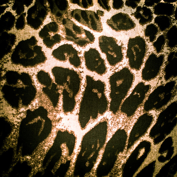 金色垃圾帆布纹理与vignette。图片下载