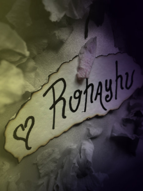 罗海胡字周围的拉帕乔花图片下载