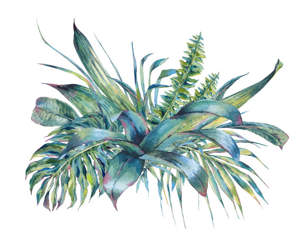 水彩插画素材ID：140627974