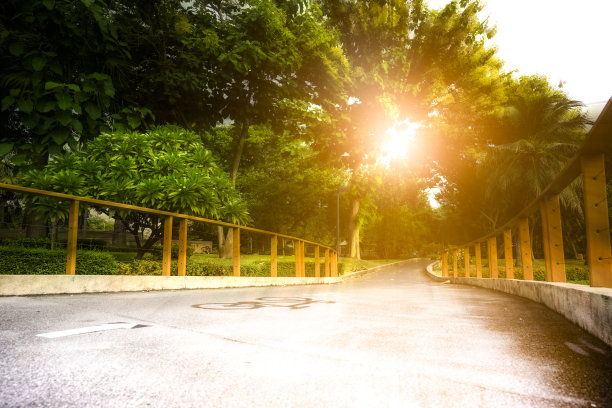 早上去公园图片下载