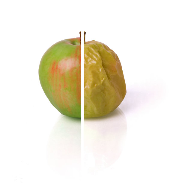 部分苹果图片下载