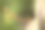蚂蚁照片素材ID：140644390