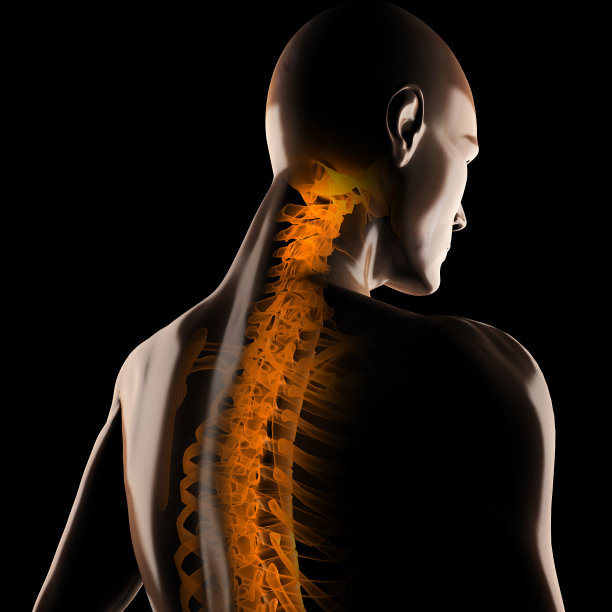 人体摄影扫描图片下载