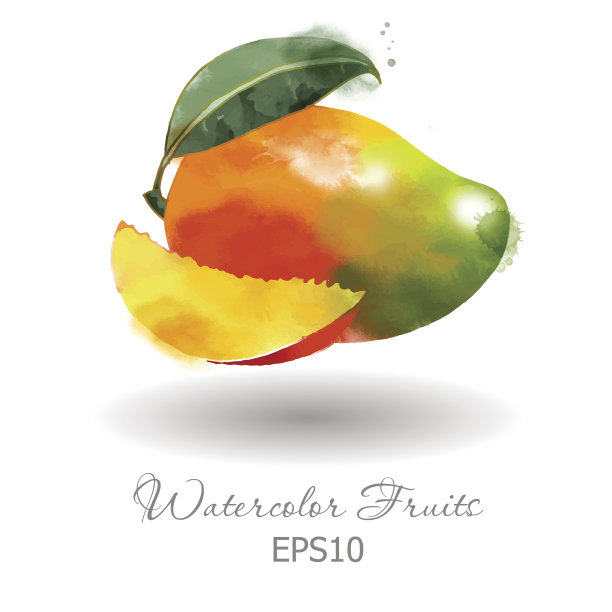 白色背景下的水果特写镜头图片下载