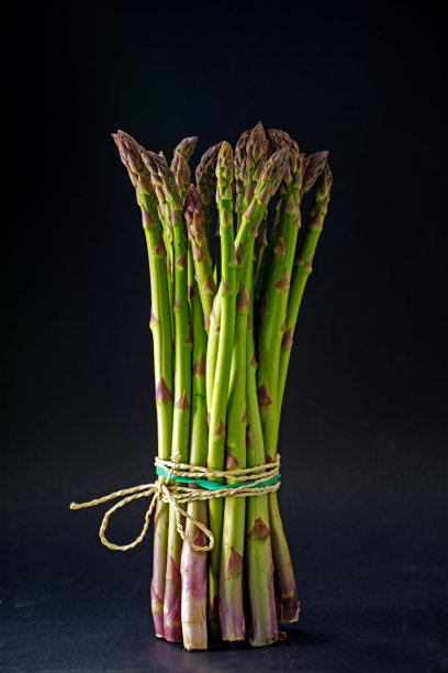 一束绿色芦笋站在黑暗的背景上图片下载