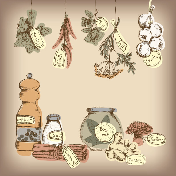 一套香料和香草。图片下载