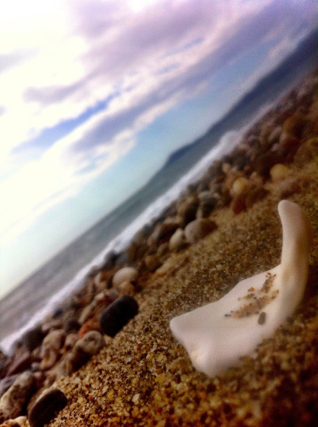 天真的梦想图片下载