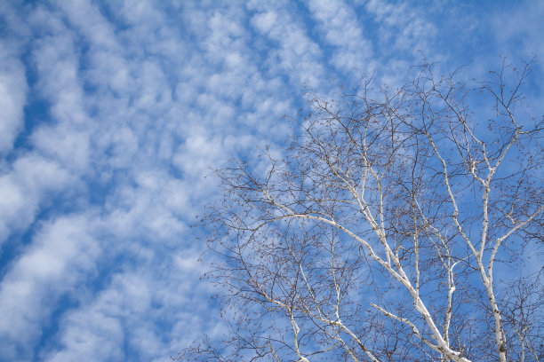 向云中伸展图片下载