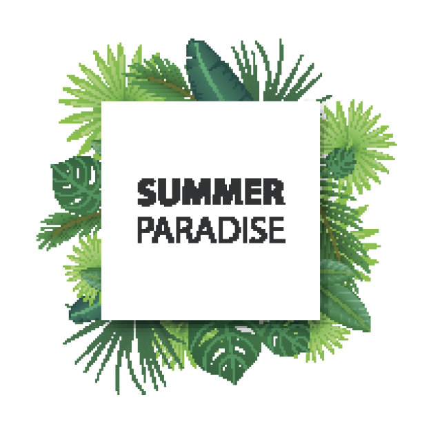 矢量背景与热带树叶图片下载