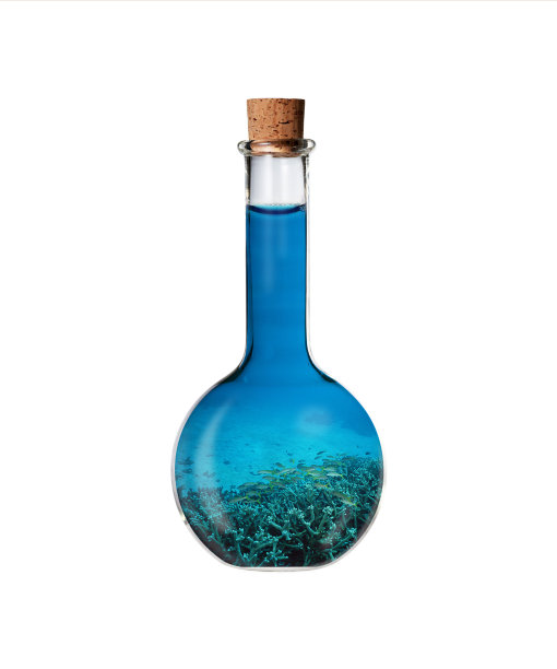 试管中的水下世界图片下载