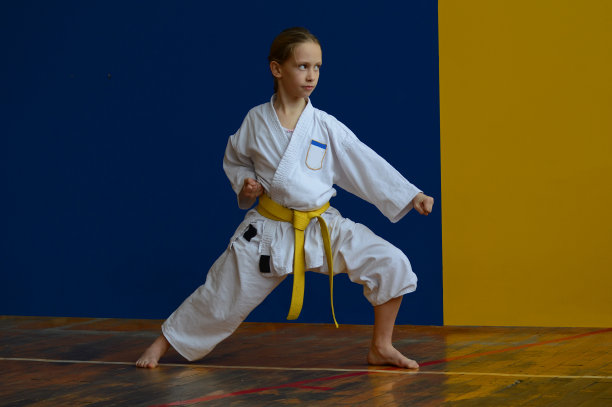 盖达姆·巴拉伊图片下载