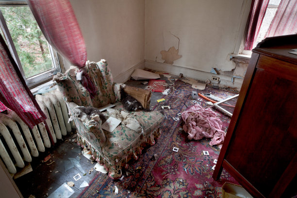 客厅里的混乱图片下载