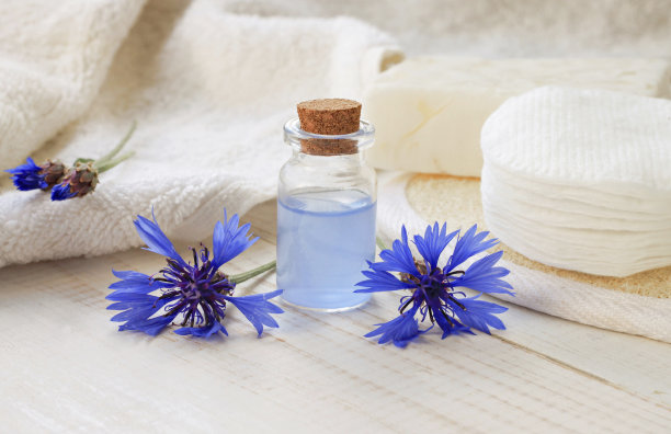 蓝色矢车菊草本提取物图片下载