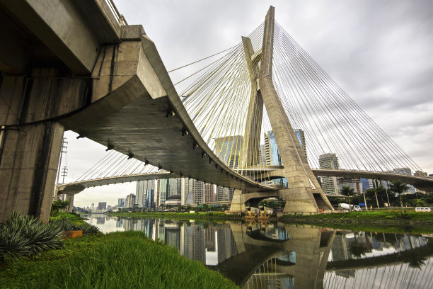 巴西圣保罗的奥克塔维奥·弗里亚斯·德奥利韦拉大桥图片下载