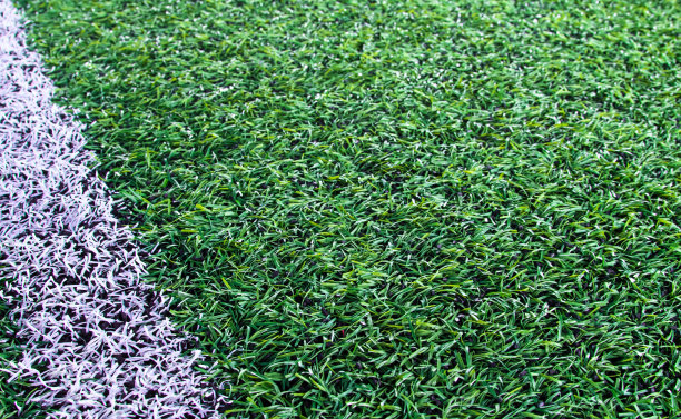 人造草地足球场图片下载