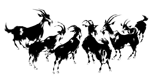 日本的羊图片下载