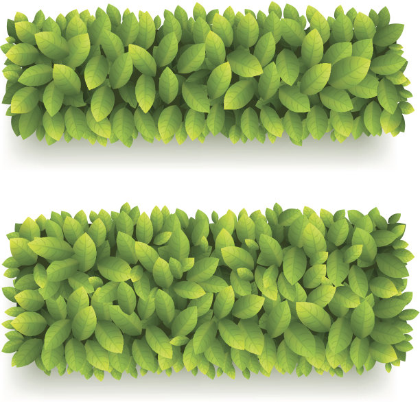 绿叶旗帜图片下载