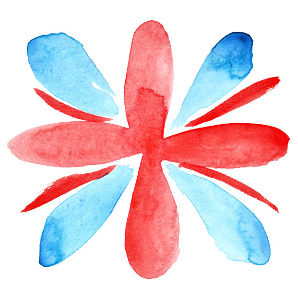 英国花图片下载