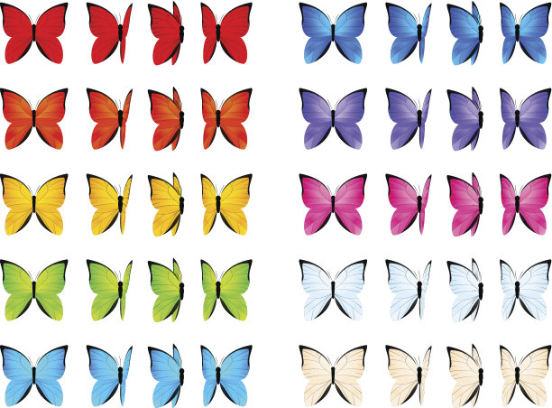 一组彩色蝴蝶孤立在白色上素材图片