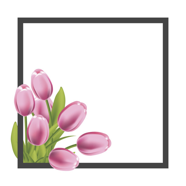 现实的郁金香花框架。空白模板文字，问候和春季促销横幅。图片下载