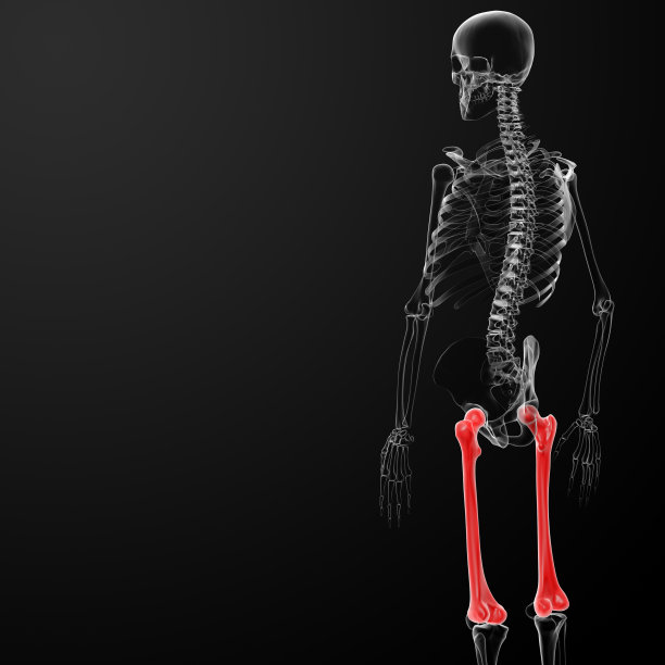 3d渲染插图-股骨骨图片下载